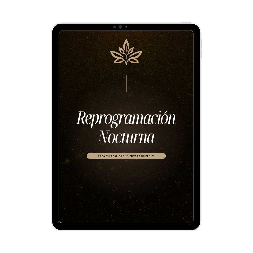 Diseño sin título (24)